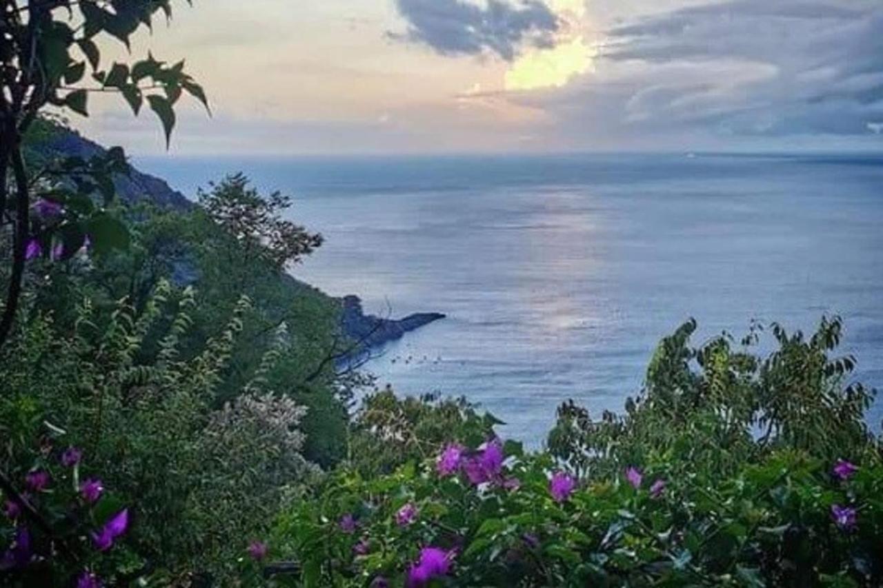 Rosablu Vacanza Tra Mare E Parco Di Portofino Camogli Eksteriør billede