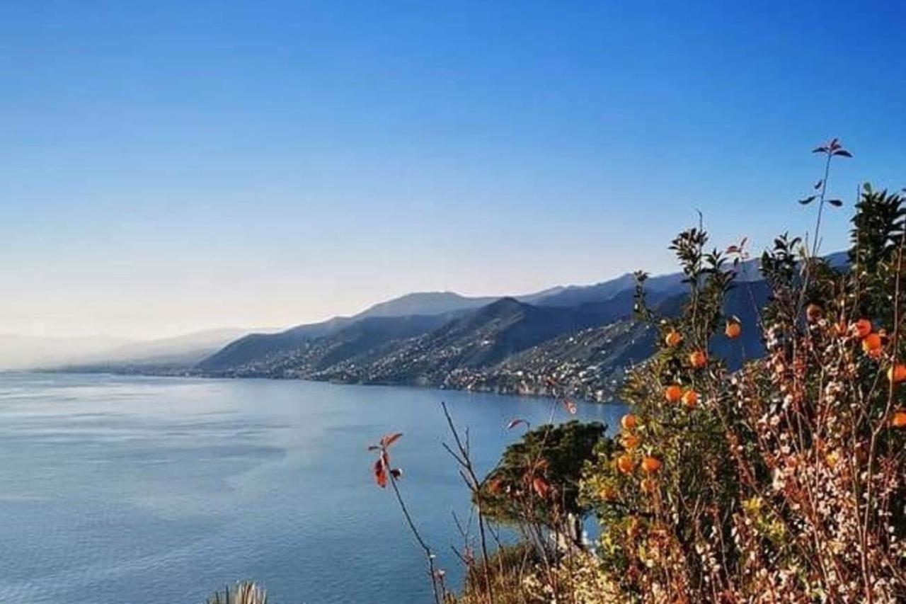 Rosablu Vacanza Tra Mare E Parco Di Portofino Camogli Eksteriør billede