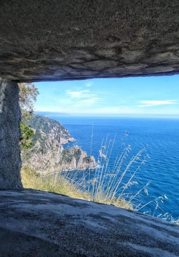 Rosablu Vacanza Tra Mare E Parco Di Portofino Camogli Eksteriør billede